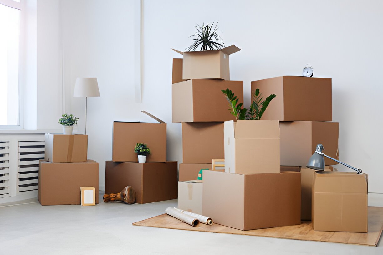 Gp 55 decluttering services